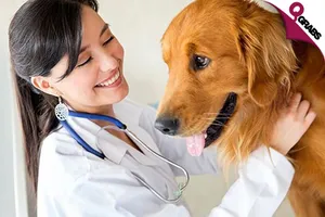 huge_700x420__20989.png
